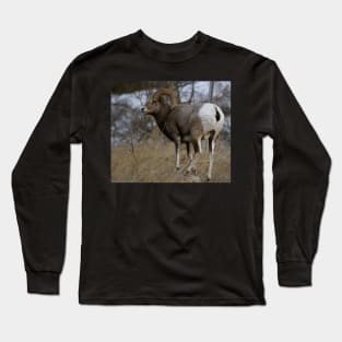 Big Horn Sheep Long Sleeve T-Shirt